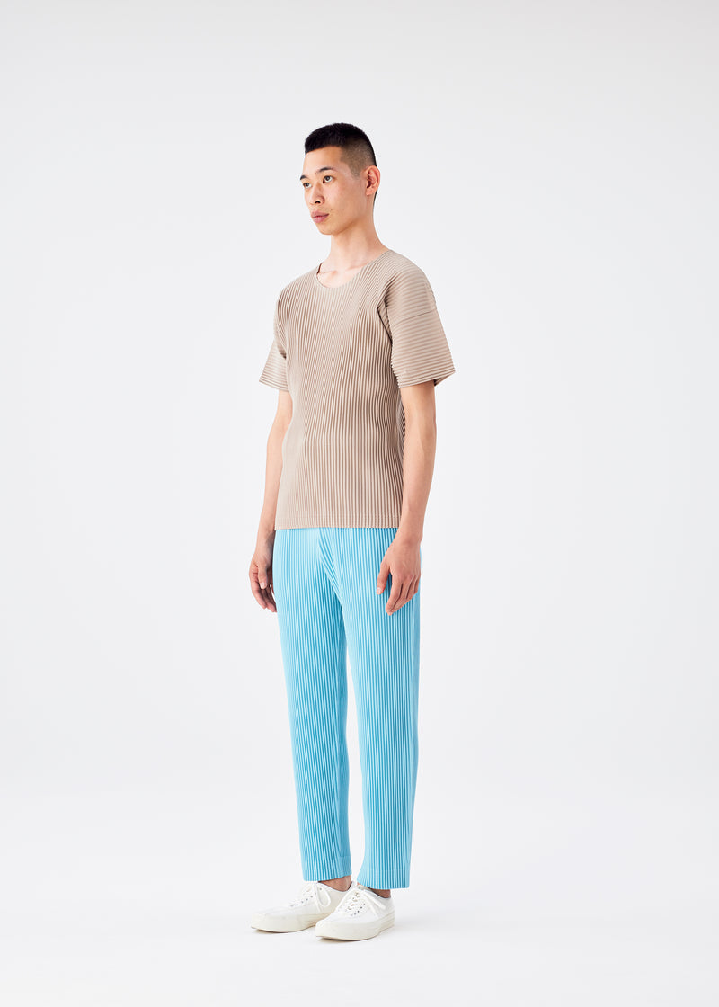 COLOR PLEATS