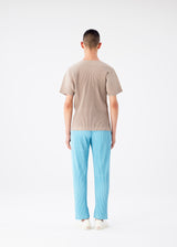 COLOR PLEATS