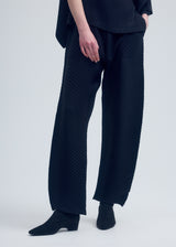 VIGOR PLEATS SOLID Trousers Black