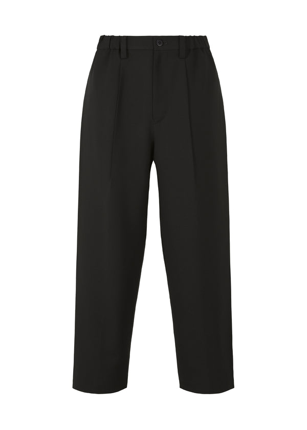 WOOL LIKE WINGS Trousers Black