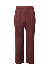 MONTHLY COLORS : OCTOBER Trousers Brown