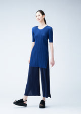 MONTHLY COLORS : JUNE Trousers Steel Blue
