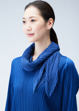 MONTHLY SCARF JANUARY Stole Blue