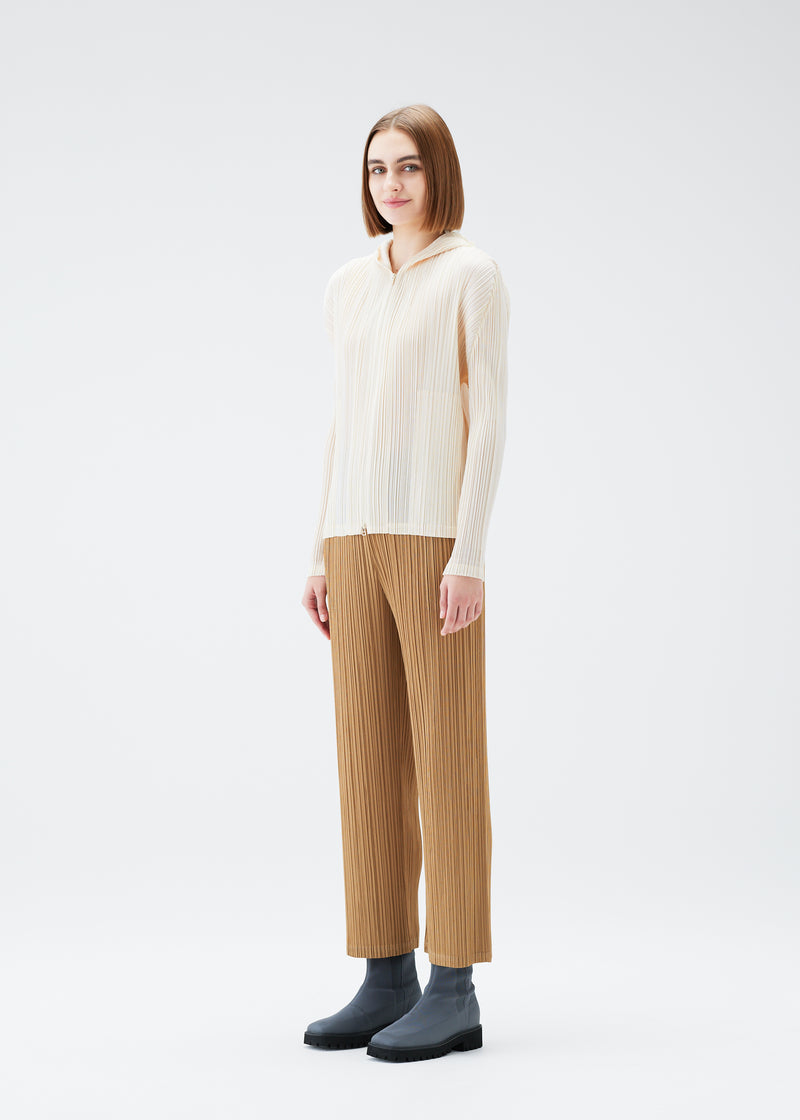 MONTHLY COLORS : DECEMBER Trousers Copper Brown