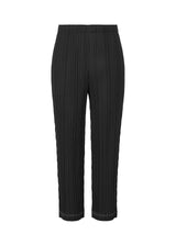 RAMIE PLEATS Trousers Black