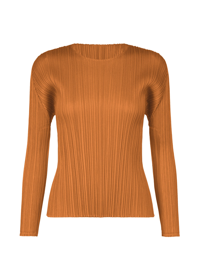 MONTHLY COLORS : NOVEMBER Top Brown