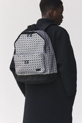 DAYPACK Backpack Silver