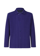 TAILORED PLEATS 1