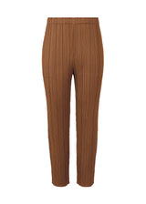 MONTHLY COLORS : FEBRUARY Trousers Brown