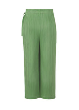 MONTHLY COLORS : FEBRUARY Trousers Steel Green