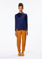 TRUNK Trousers Navy