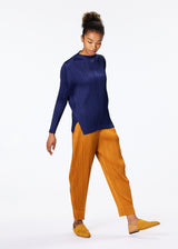 TRUNK Trousers Navy